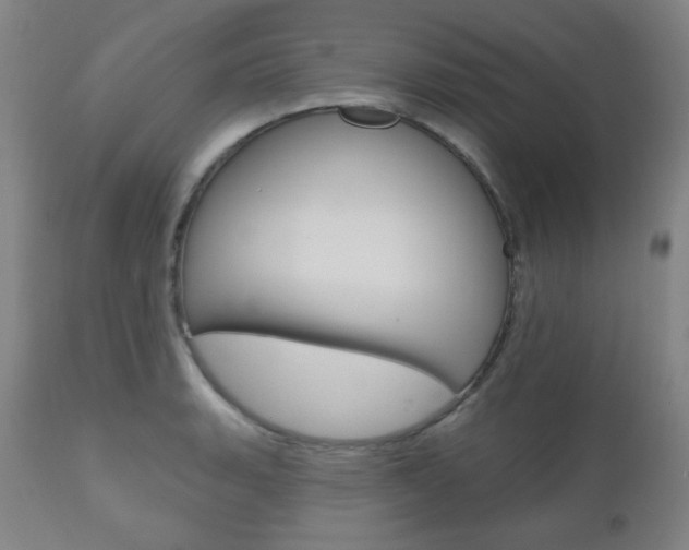X0000110861135200906180939