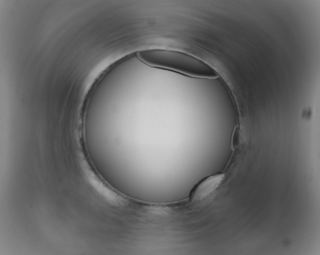 X0000110861136200906180939