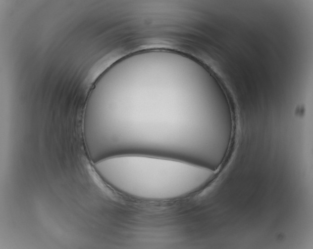 X0000110861137200906180939
