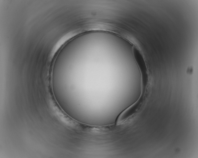 X0000110861138200906180939
