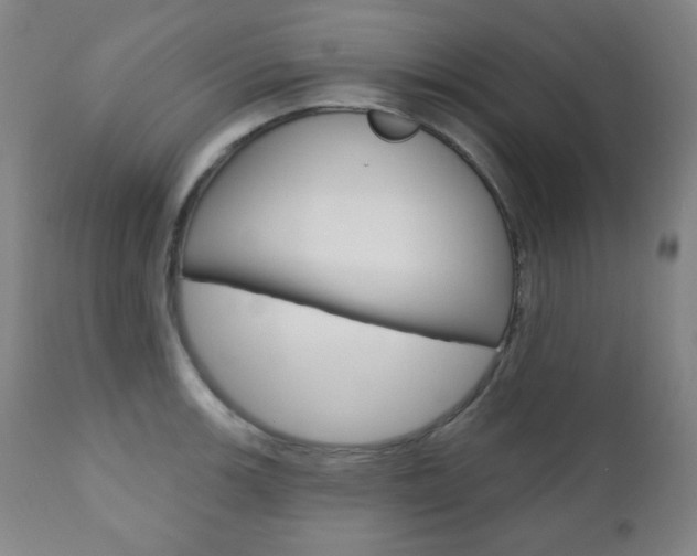 X0000110861139200906180939