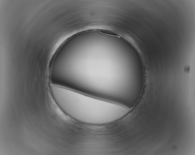 X0000110861140200906180939
