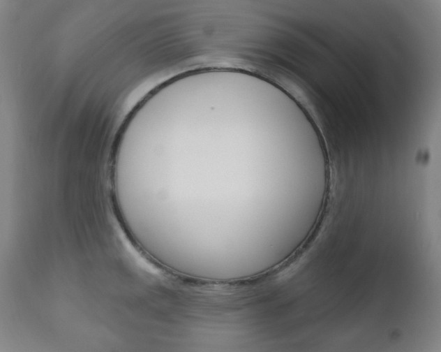 X0000110861141200906180939
