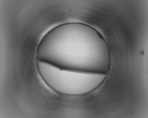 X0000110861142200906180939