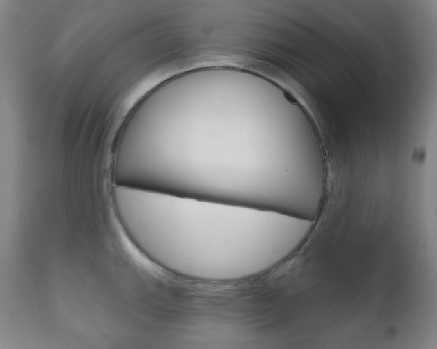 X0000110861143200906180939