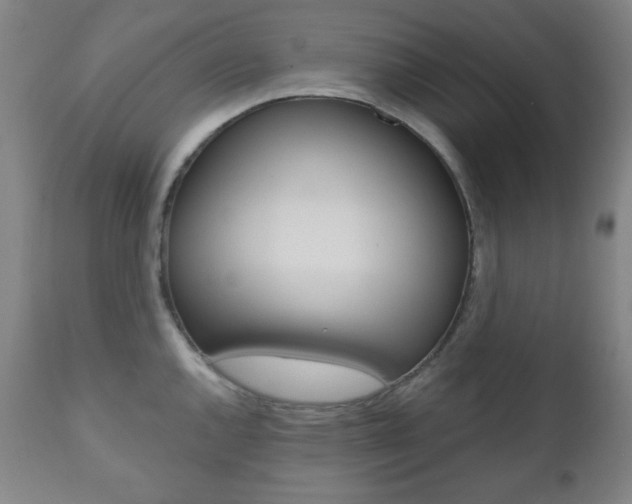 X0000110861144200906180939