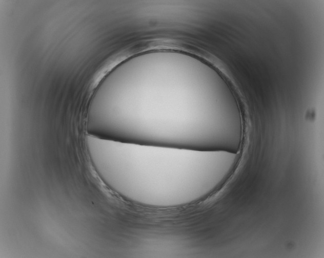 X0000110861145200906180939