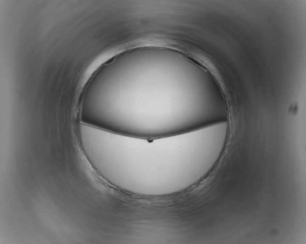 X0000110861146200906180939