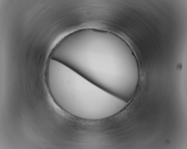 X0000110861147200906180939