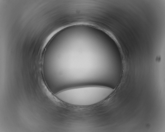 X0000110861148200906180939