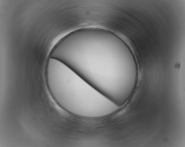 X0000110861149200906180939