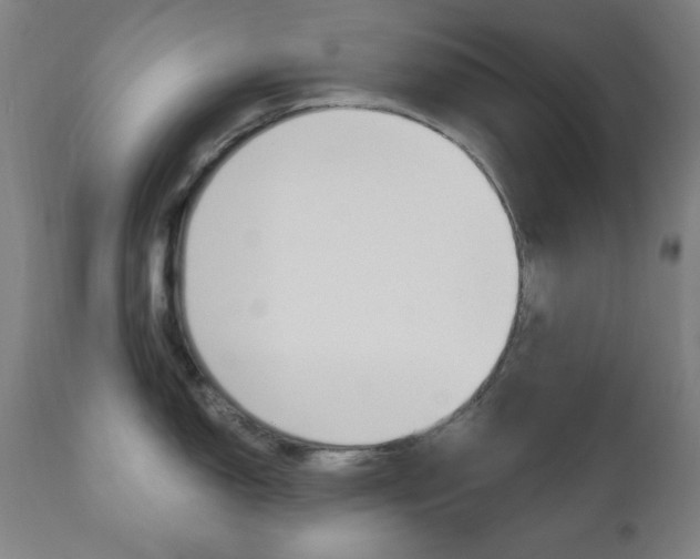 X0000110861150200906180939