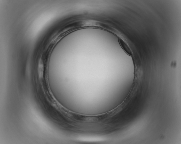 X0000110861151200906180939