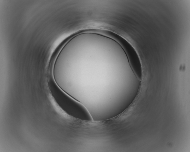 X0000110861152200906180939