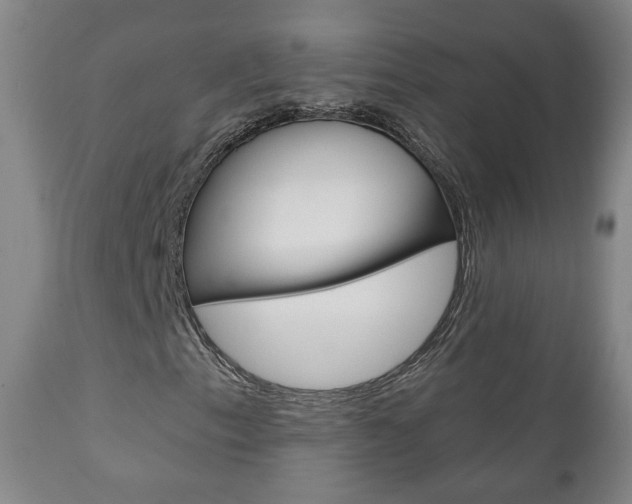 X0000110861153200906180938