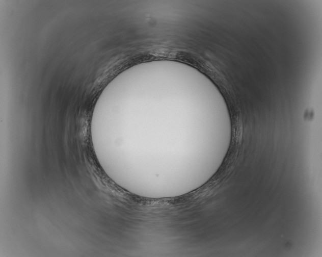 X0000110861154200906180938