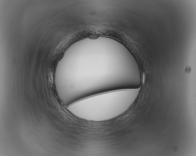 X0000110861155200906180938