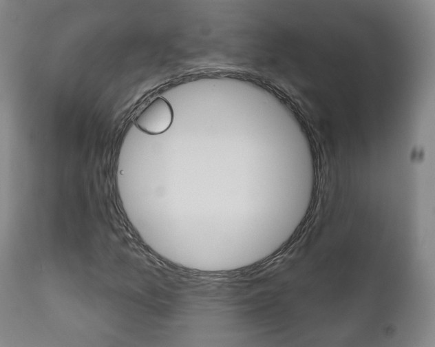 X0000110861157200906180938