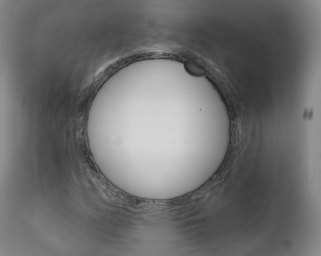 X0000110861158200906180938
