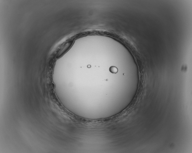 X0000110861159200906180938