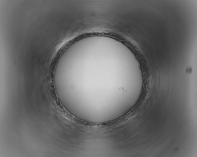 X0000110861160200906180938