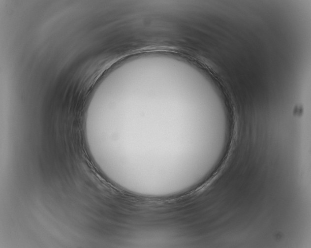 X0000110861161200906180938