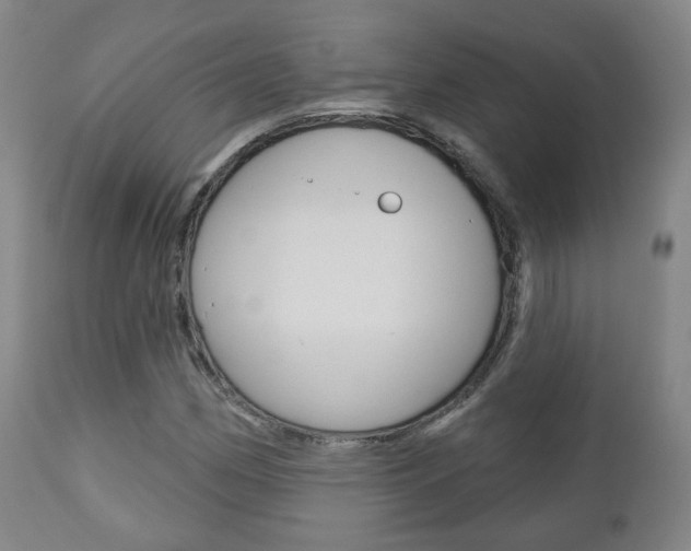 X0000110861162200906180938