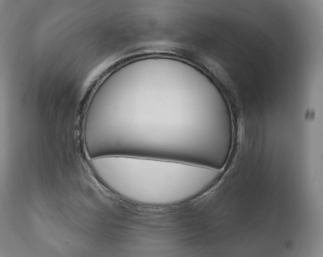 X0000110861164200906180938