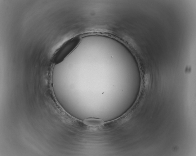 X0000110861165200906180938