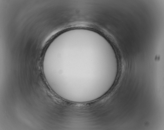 X0000110861166200906180938