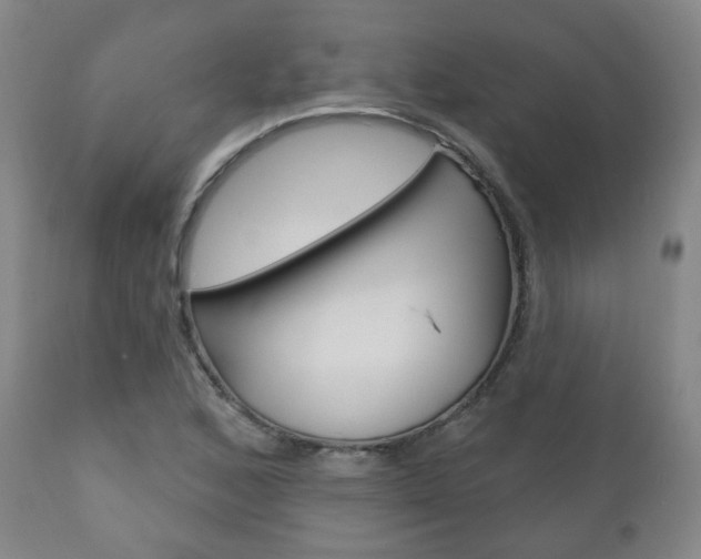 X0000110861168200906180938