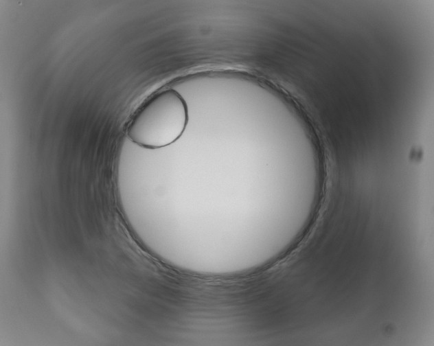X0000110861169200906180938