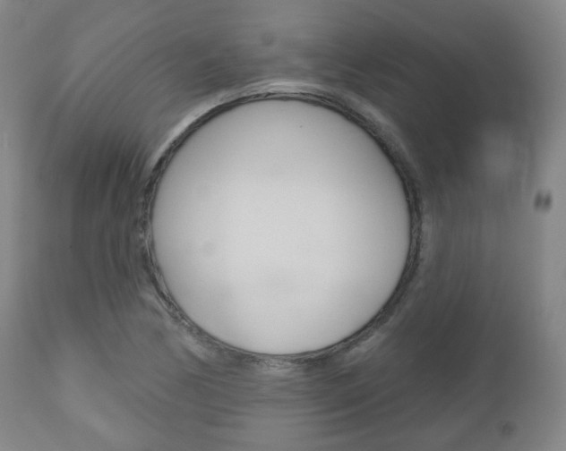X0000110861170200906180938