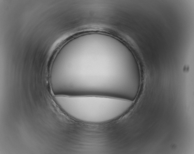 X0000110861172200906180938