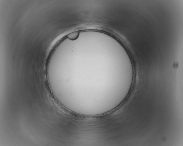 X0000110861174200906180938
