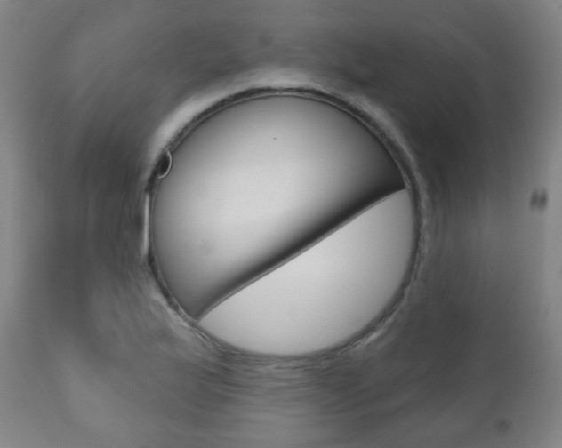 X0000110861175200906180938