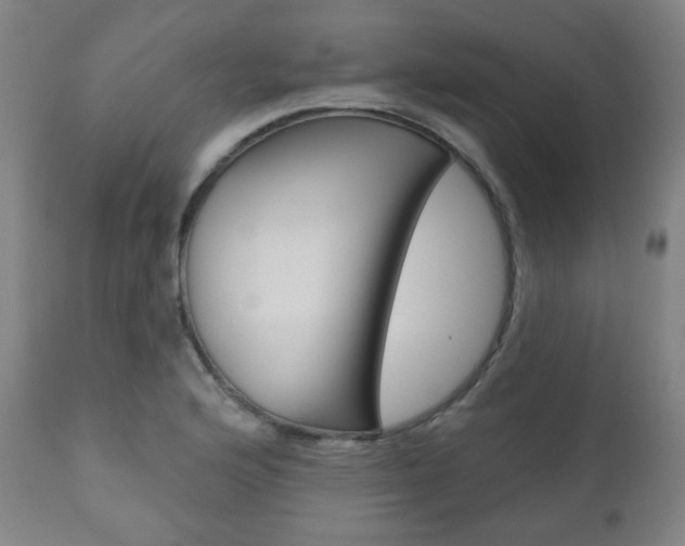 X0000110861176200906180938