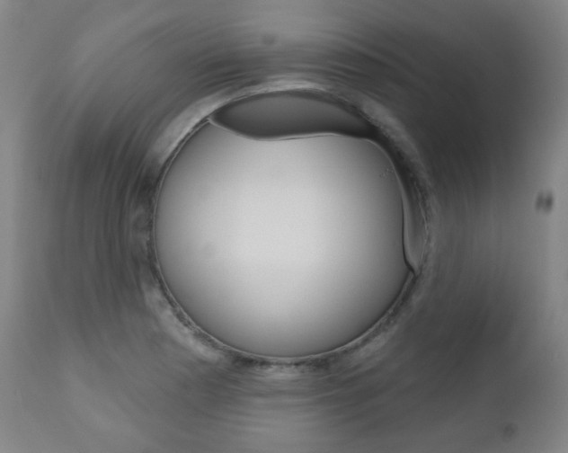 X0000110861177200906180938