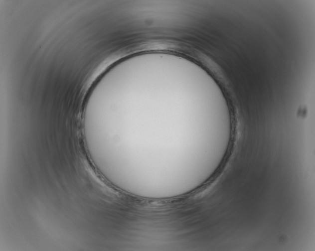 X0000110861178200906180938