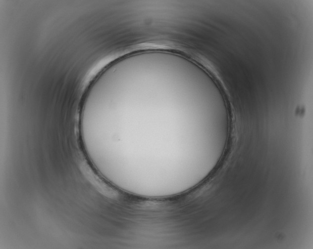 X0000110861179200906180938