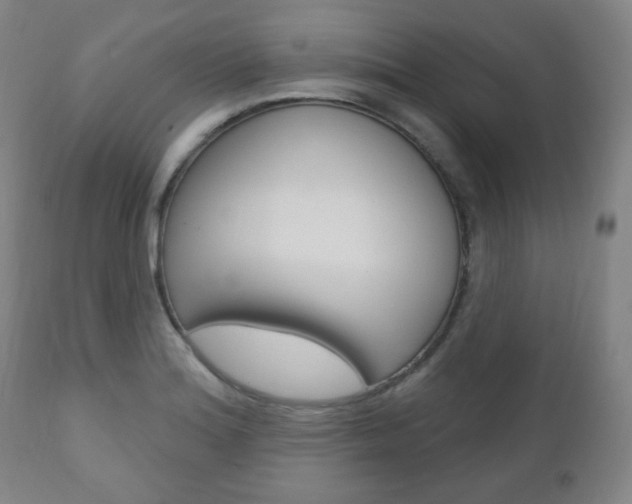 X0000110861180200906180938