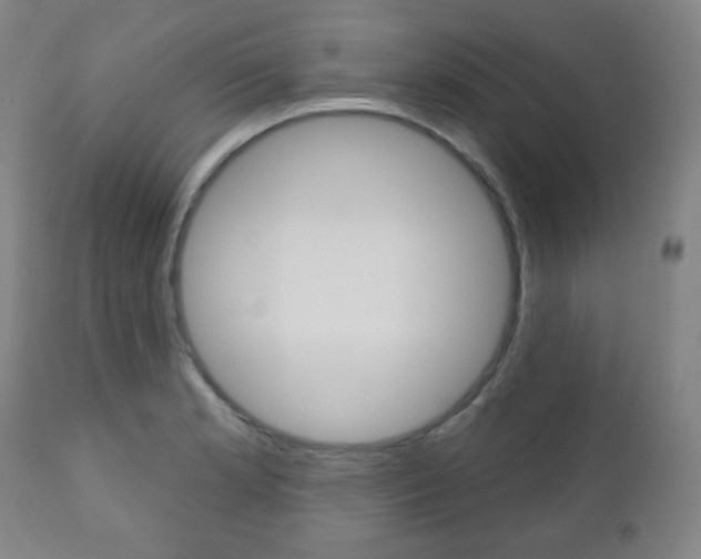 X0000110861181200906180938