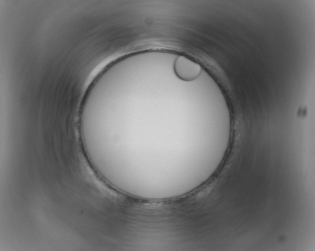 X0000110861182200906180938