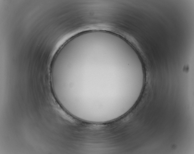 X0000110861184200906180938