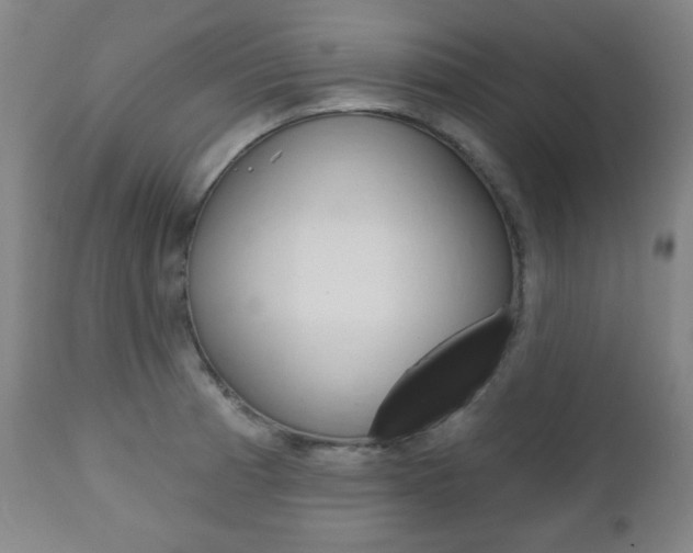 X0000110861185200906180938