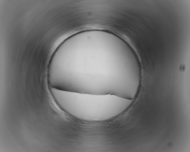 X0000110861187200906180938
