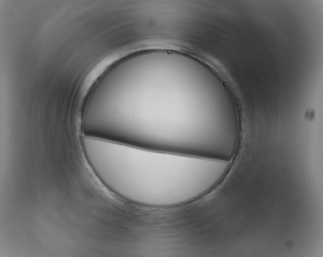 X0000110861188200906180938