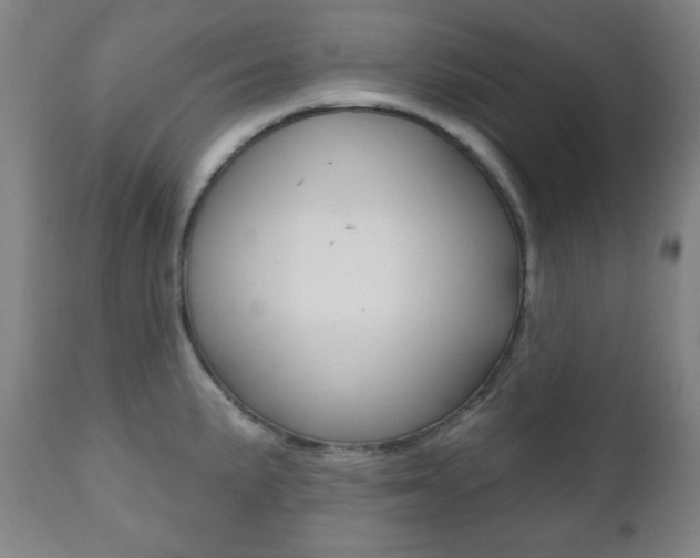 X0000110861191200906180938