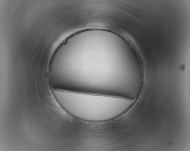 X0000110861192200906180938