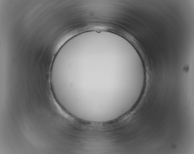 X0000110861194200906180938